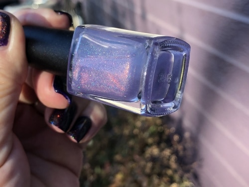 UP Top Holo Topper